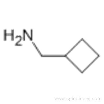 Cyclobutylmethylamine CAS 4415-83-2